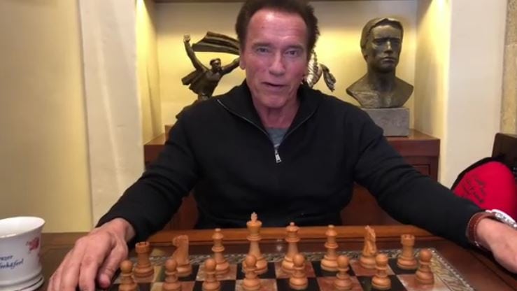 Arnold Schwarzenegger Playing Chess