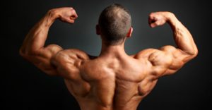 body building 1 Rising Muscle | Home